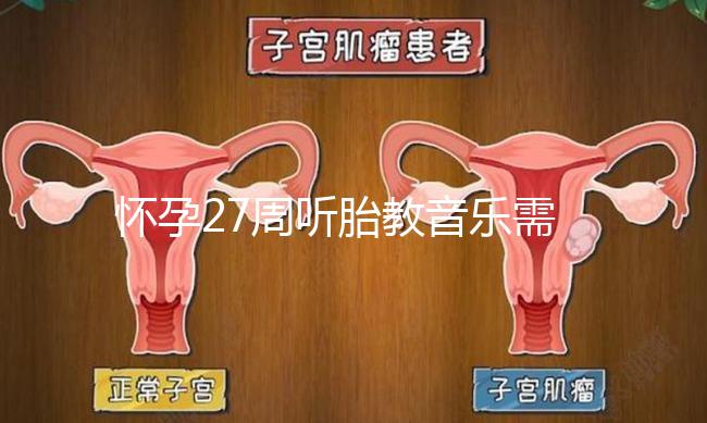 懷孕27周聽胎教音樂需要多長(zhǎng)時(shí)間？過長(zhǎng)會(huì)損害聽力