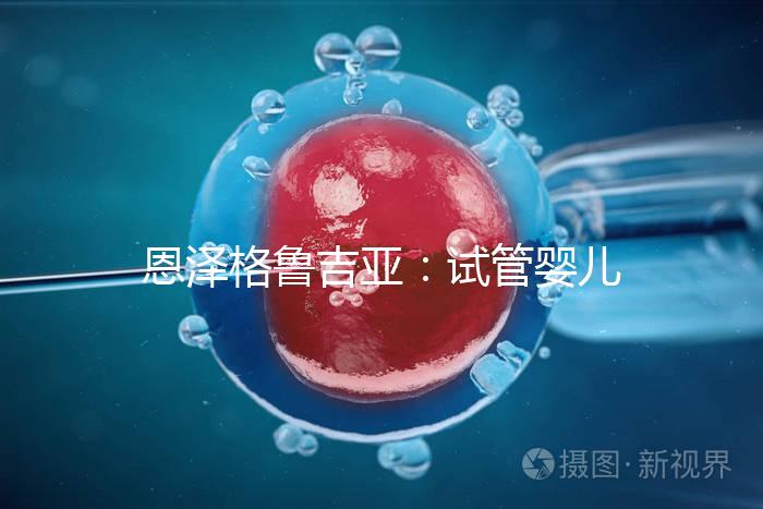 恩澤格魯吉亞：試管嬰兒助孕囊胚移植后，著床時間全解析