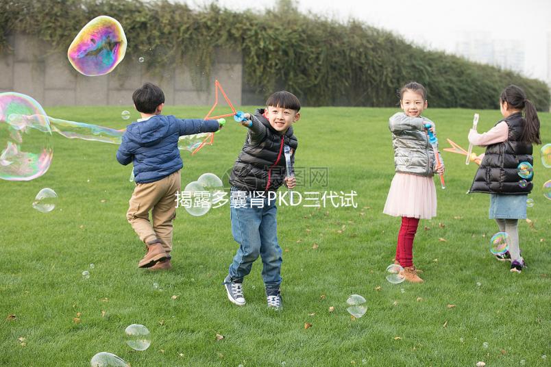 揭露多囊腎PKD三代試管取17個卵異常怎么辦？