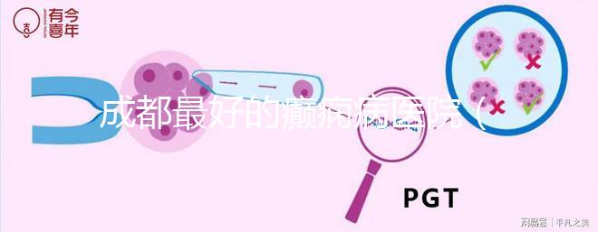 成都最好的癲癇病醫(yī)院（成都癲瘋病?？漆t(yī)院）