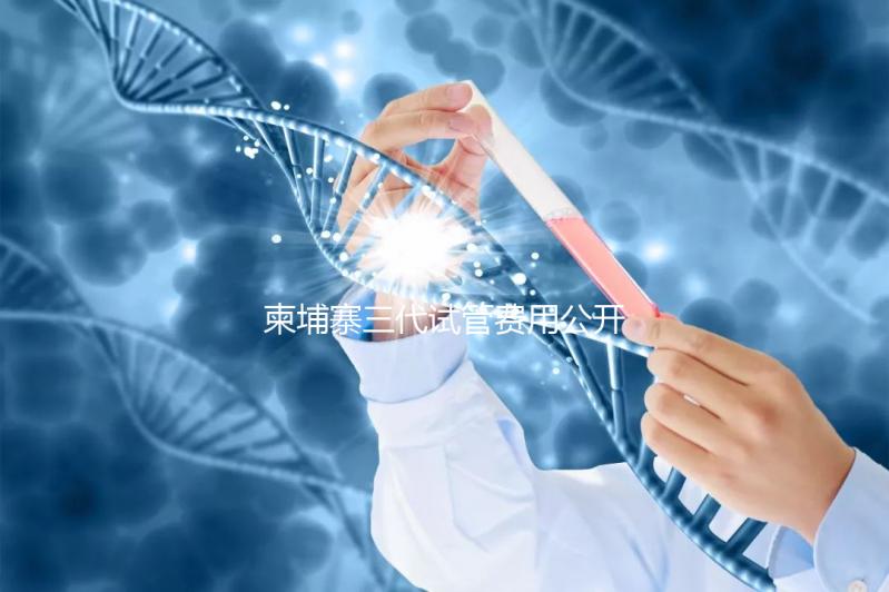 柬埔寨三代試管費用公開,不同項目價格不同