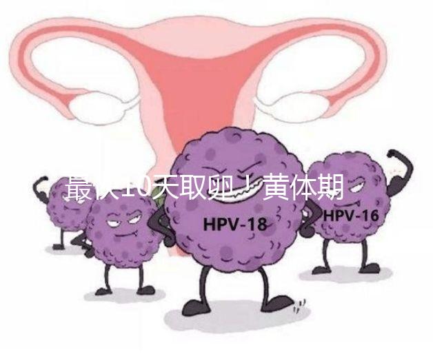 最快10天取卵！黃體期促排需要多長時間看這個指標