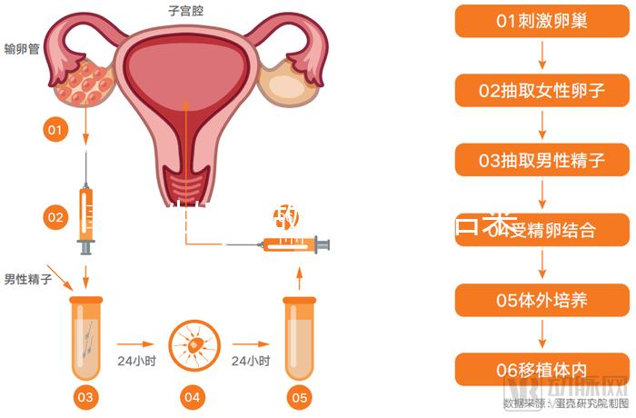 無性婚姻做試管嬰兒后來怎么樣？三個大案例揭開了內幕