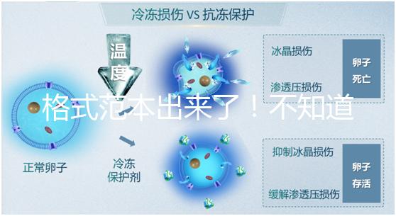 格式范本出來了！不知道出生證明遺失申請書怎么寫看這兒