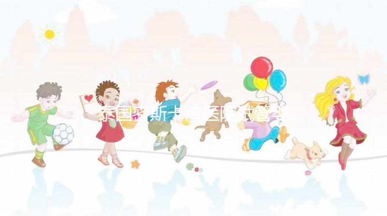 泰國(guó)密斯卡灣醫(yī)院試管嬰兒價(jià)格指南附項(xiàng)目及費(fèi)用明細(xì)！