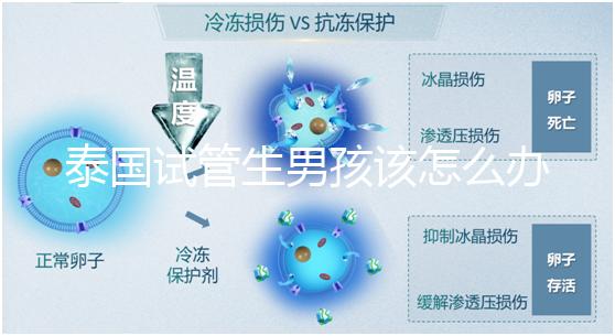 泰國試管生男孩該怎么辦？詳細助孕流程快速收集