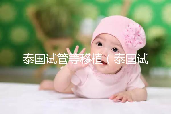 泰國(guó)試管等移植(泰國(guó)試管移植成功案例)