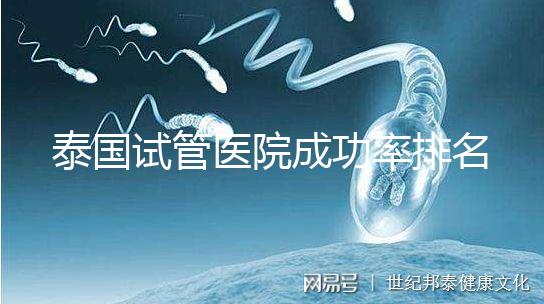 泰國試管醫院成功率排名公布，這些詳細介紹，為您提供選擇參考！