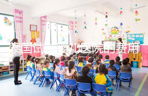 泰國試管嬰兒醫(yī)院的費用和成功率已經公布去泰國生孩子一定要看