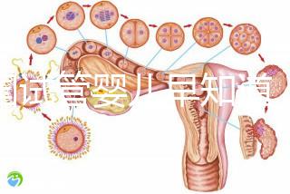 泰國試管嬰兒早知道,威它尼醫(yī)院Vejthani圖文攻略