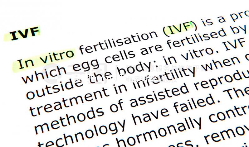 泰國(guó)bnh試管成功率(泰國(guó)試管成功概率)