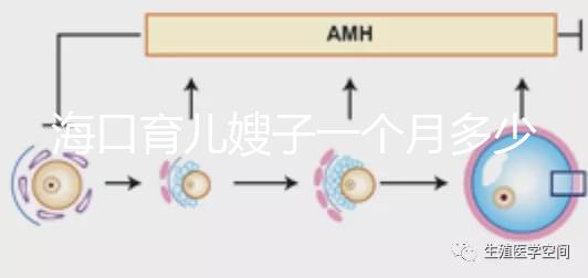 ?？谟齼荷┳右粋€月多少錢，哪個好答案總結，新手父母必須看