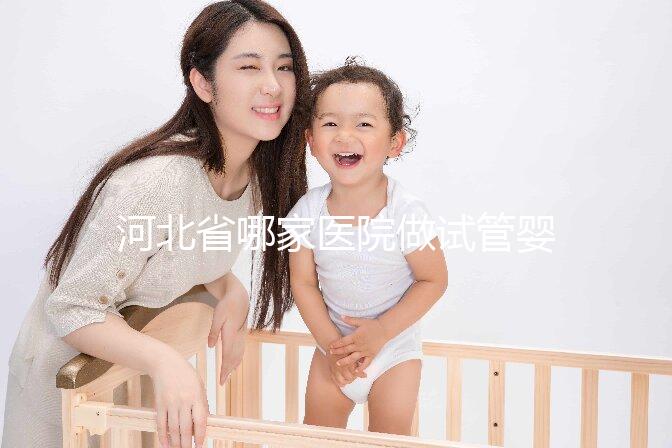 河北省哪家醫院做試管嬰兒好?附2025年熱門醫院推薦