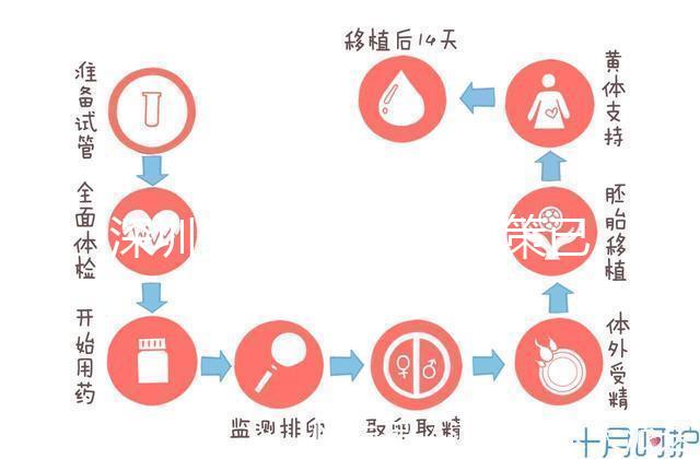 深圳最新獨生子女政策已出爐，羅湖、南山區補貼金均有提高