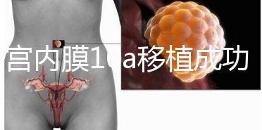 子宮內膜10a移植成功率高別還不知道，放入鮮胚厚度剛剛好