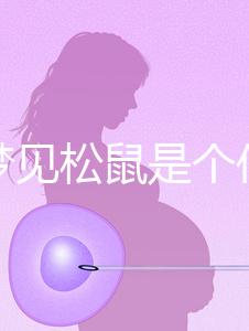 孕婦夢見松鼠是個什么樣的胎夢?相關(guān)寓意解讀