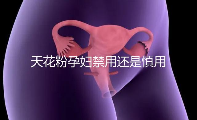 天花粉孕婦禁用還是慎用好看這，5個月不小心吃了有影響