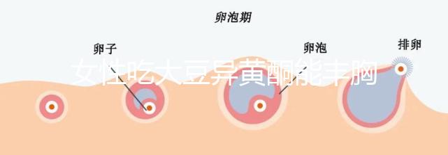 女性吃大豆異黃酮能豐胸？別再被這些虛假廣告給忽悠了