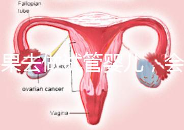 如果去做試管嬰兒,會(huì)有什么利與弊?