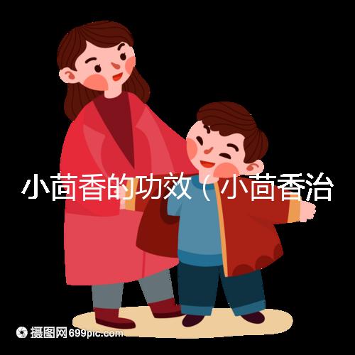 小茴香的功效（小茴香治什么病最好）