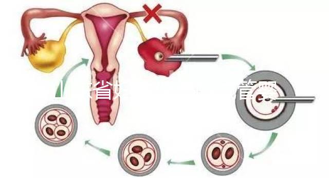 山東省婦幼保健院試管嬰兒怎么樣,新版助孕成功率數(shù)據公布