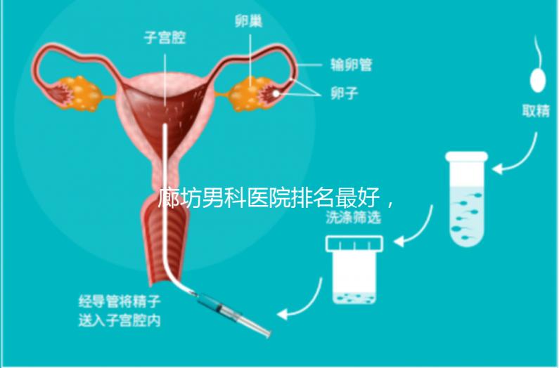 廊坊男科醫(yī)院排名最好,醫(yī)院出爐!廣陽這些機構(gòu)可以排隊