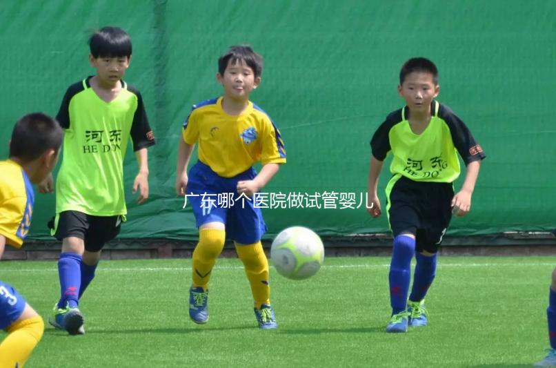 廣東哪個醫(yī)院做試管嬰兒技術(shù)好，成功率高，我今年45歲，今年在浙江做了兩次都不成功，都是8細(xì)胞一級。