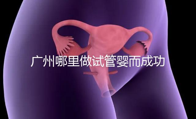 廣州哪里做試管嬰而成功率高？如何提高成功率？