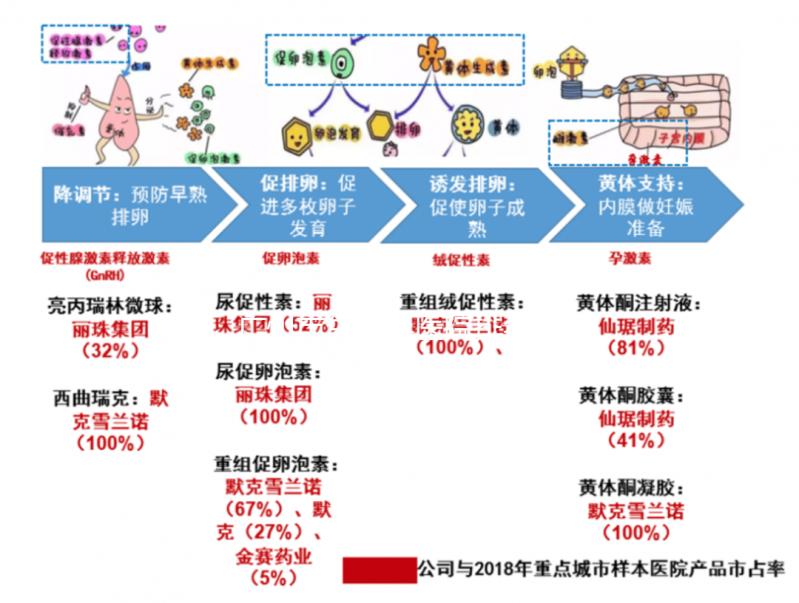 廣州市生殖科醫院排名解析，成功率最高的前三家機構分享