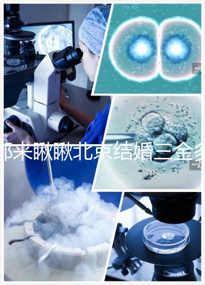 都來(lái)瞅瞅北京結(jié)婚三金多少錢,朝陽(yáng)服裝錢誰(shuí)出也有答案