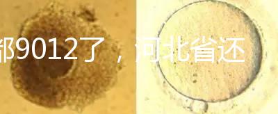 都9012了，河北省還沒三代試管嬰兒醫院，看看姐妹怎么說