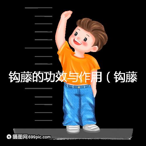 鉤藤的功效與作用（鉤藤的毒性有多強(qiáng)）