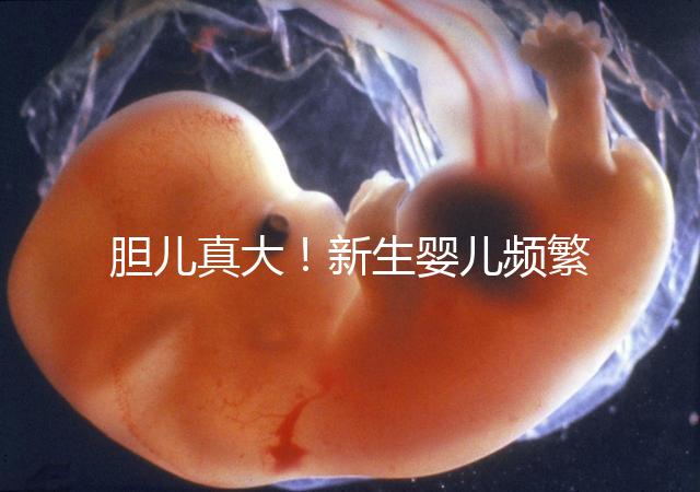 膽兒真大!新生嬰兒頻繁打嗝不要游泳以免嗆水