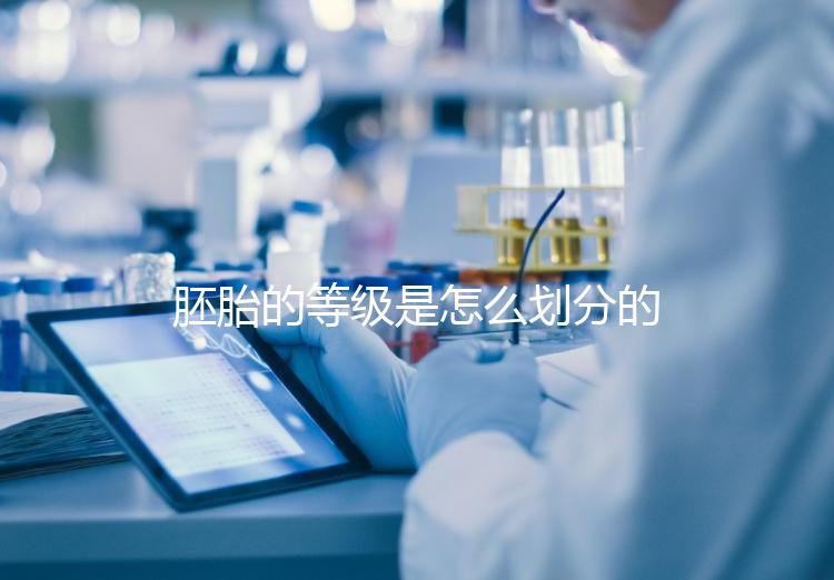 胚胎的等級是怎么劃分的？詳解3天胚胎與5天囊胚的評估標準