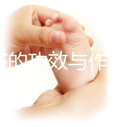 苦丁茶的功效與作用(苦丁茶的功效與作用是什么)