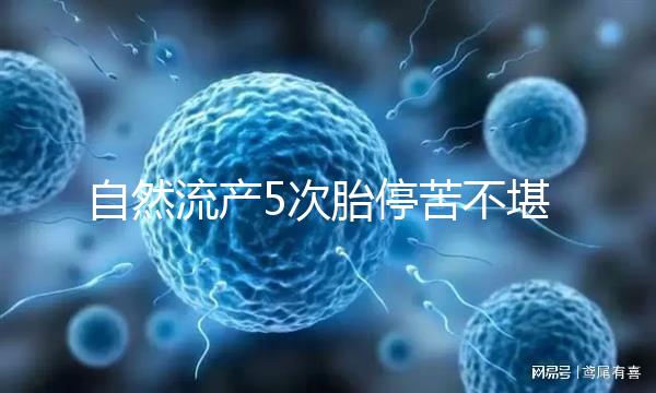自然流產5次胎?？嗖豢把裕?試管嬰兒助孕一朝分娩喜之不盡！