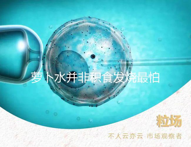 蘿卜水并非積食發燒最怕的1種水，天天煮這些喝胃口倍棒