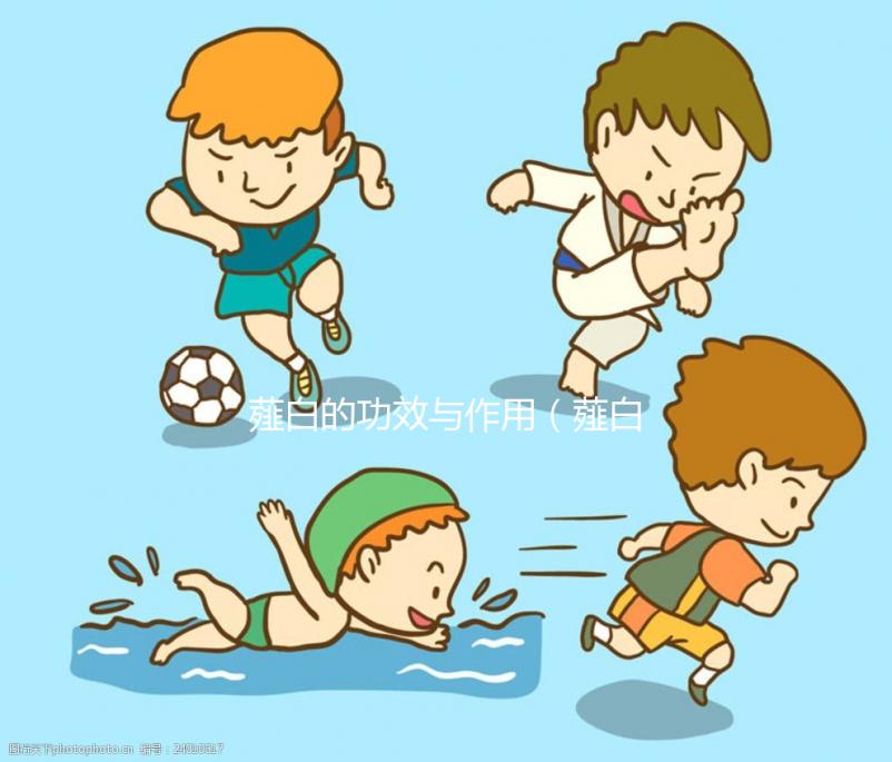 薤白的功效與作用（薤白的功效與作用與主治）