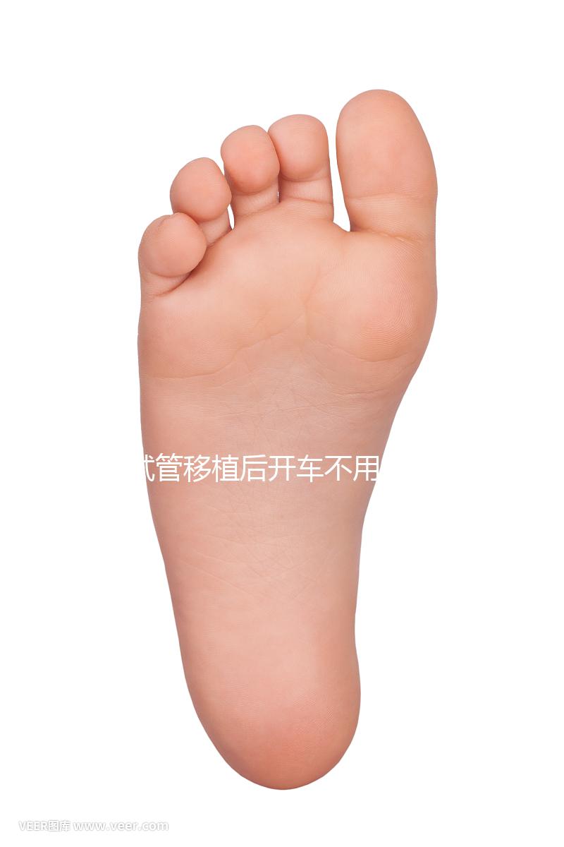 試管移植后開車不用太講究，休息和出行問題解答都在這里