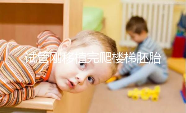 試管剛移植完爬樓梯胚胎會掉出來是謠言！這3大影響了解下