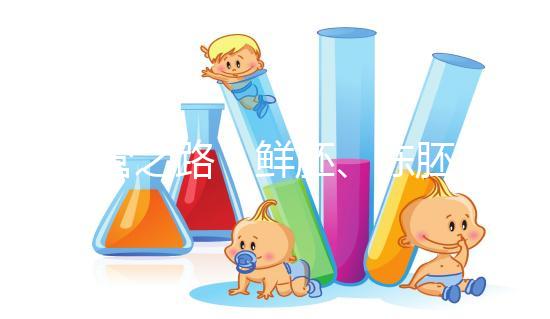 試管之路:鮮胚、凍胚、桑椹胚、囊胚,選擇哪種成功率更高?