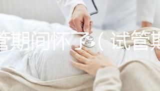 試管期間懷了(試管期間懷了雙胞胎)