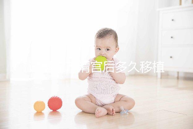 試管流產清宮后多久移植？半年還是兩個月看大家怎么說...