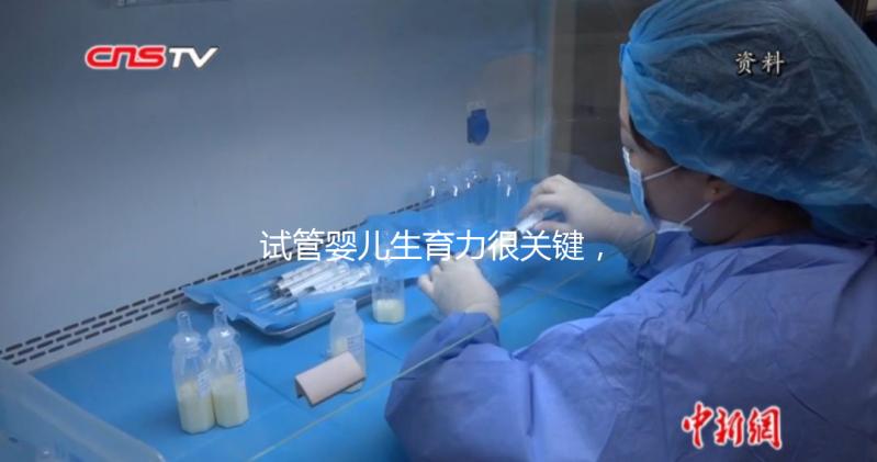 試管嬰兒生育力很關(guān)鍵,4個(gè)方面評(píng)估好不好?