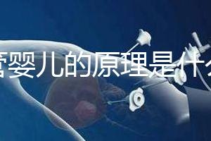 試管嬰兒的原理是什么？