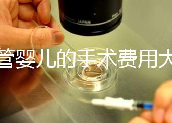 試管嬰兒的手術(shù)費(fèi)用大概是多少？