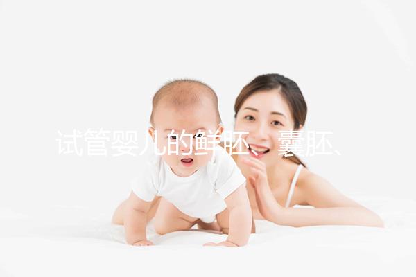 試管嬰兒的鮮胚、囊胚、凍胚，都有說明區別已經成功率