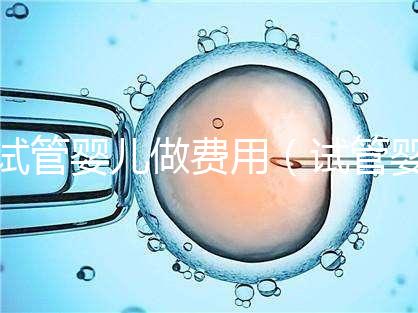 試管嬰兒做費(fèi)用（試管嬰兒做費(fèi)用多少）