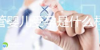 試管嬰兒受孕是什么樣的原理呢？