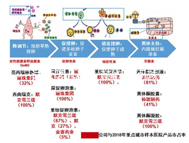 試管嬰兒前,禁欲時(shí)間越長(zhǎng),精子質(zhì)量越好嗎?